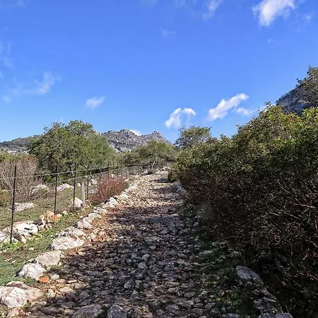 Rurales Sierra Alta